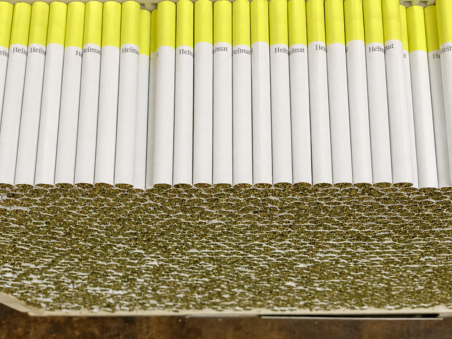 Heimat CBD Pre-Rolls — fertige Stangen in der Trocknungs- und Lagerungsschale