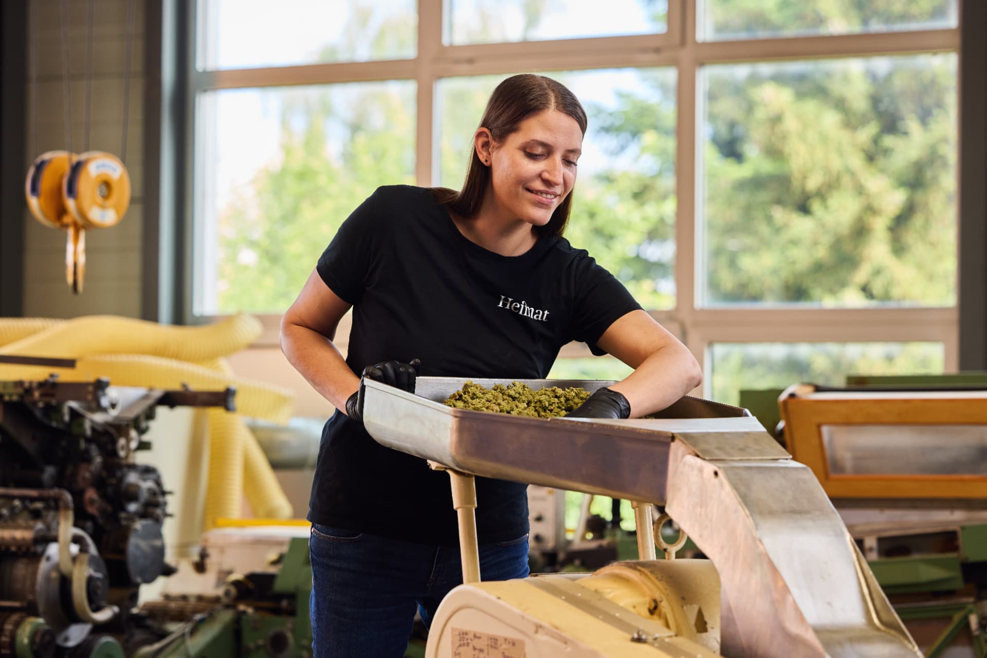 Heimat-Mitarbeiterin bei der Qualitätskontrolle von Cannabisblüten in der Produktion