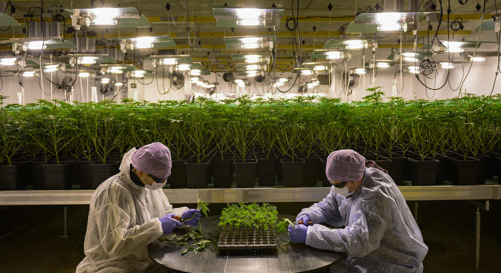 SFH Swiss Financial Holding AG invests in Heimat